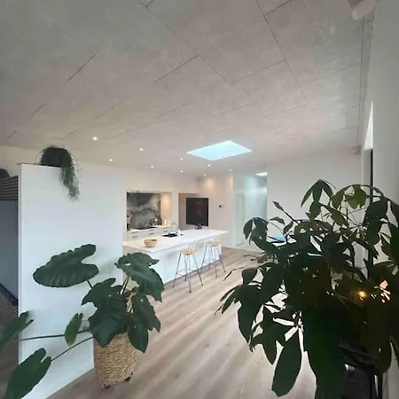 Nyt Hus Fra 2022 Med Jungle Vibe